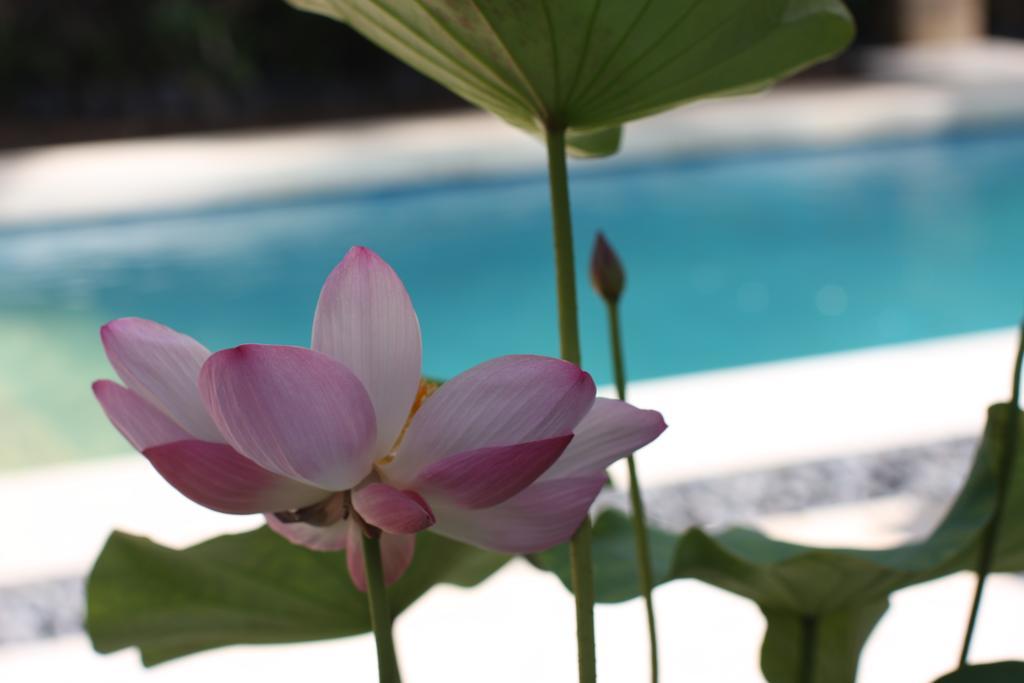 Villa Alu Lima Seminyak Kamer foto